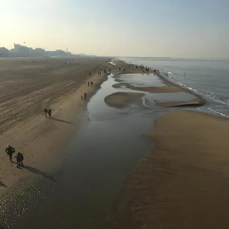 Bries - Scheveningen Hotel Haag